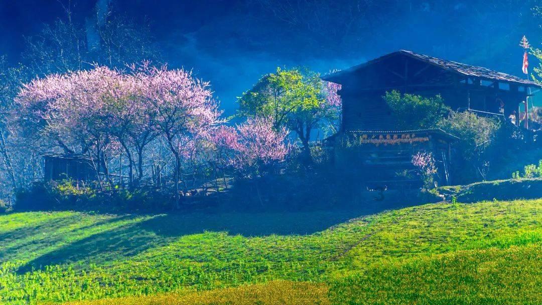 倾世一梦